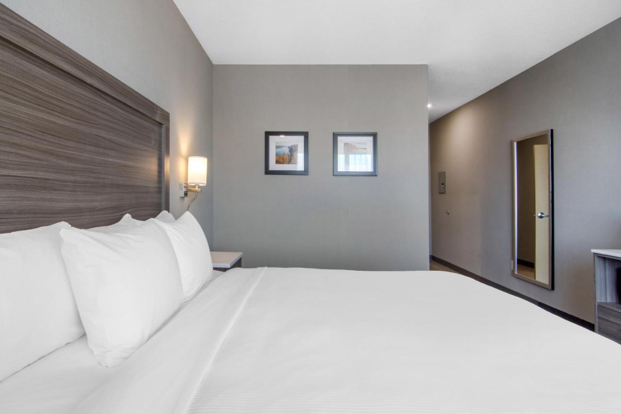 Comfort Inn&Suites North Battleford Eksteriør bilde